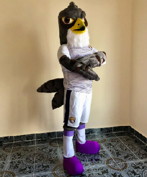 The Mascot Maker